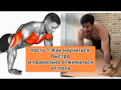 Видео: Часть 1: Как быстро и правильно научиться отжиматься от пола.