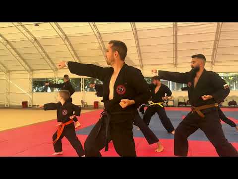 Видео: Ката 1, 2 и 3 за Жълт Колан🥋 Летен лагер по Бойни Изкуства 2025 – FМА Bulgaria