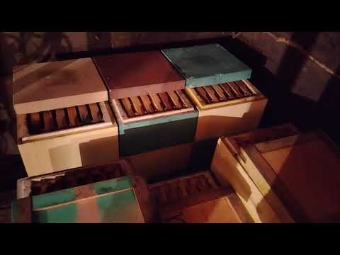 Видео: Зимовка  началась