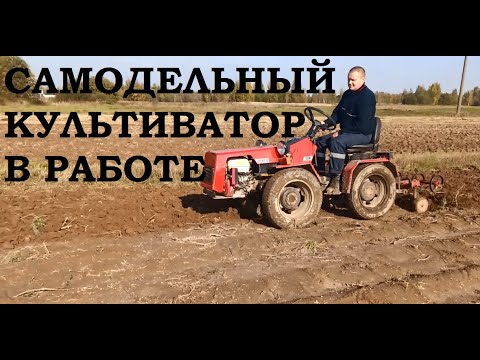 Видео: Внесение калийных удобрений осенью. Самодельный культиватор к МТЗ 132. Посев сидерата.