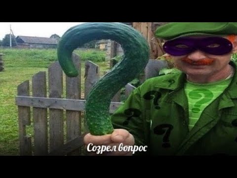 Видео: Нейросеть Отвечает На Вопросы (Q&A)
