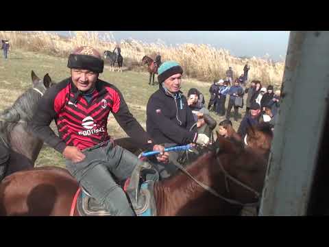 Видео: 17.11.2024 Жетысай кокпар