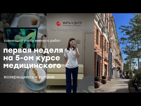 Видео: первая неделя на 5-ом курсе медицинского | возвращаюсь к рутине, обычная жизнь,