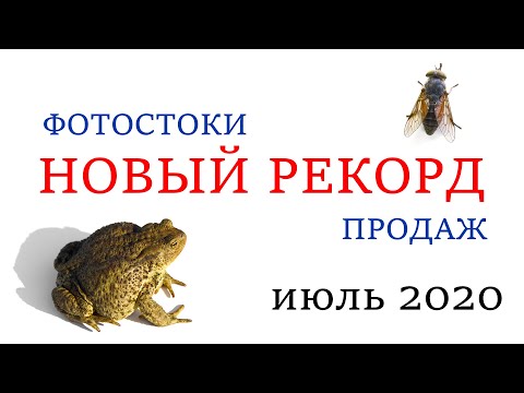 Видео: Фотостоки. Продажи на стоках -  Бьют все рекорды! Заработок на Фотостоках! 4129 фотографий на стоках