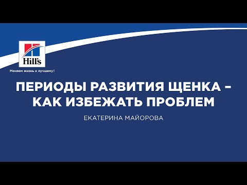 Видео: Вебинар на тему: "Периоды развития щенка - как избежать проблем поведения во взрослой жизни".