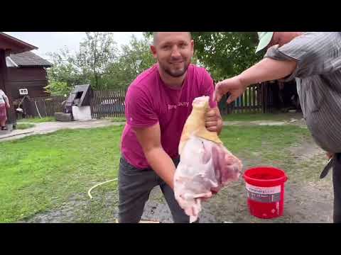 Видео: Розбір свині від майстра із великим стажем