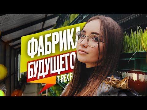 Видео: КАК ЭТО СДЕЛАНО? 🦗 Ферма насекомых T-Rex  - производство будущего?