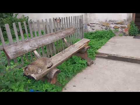 Видео: Места детства/ Опочка/Прогулка/Ностальгия