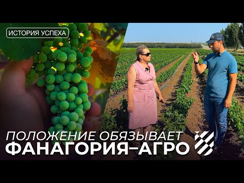 Видео: Фанагория: от лозы до бокала. Вкус винограда в каждой капле