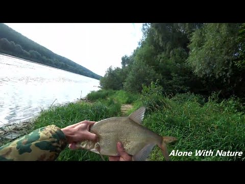 Видео: Рыбалка на Оке в Калужской области,Тверская кормушка в деле)))