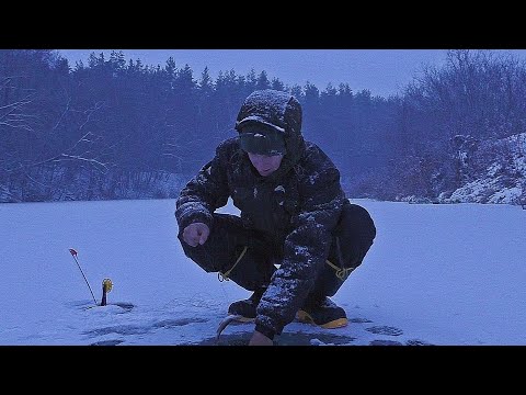 Видео: ВОТ ЧТО МОЖЕТ СЛУЧИТЬСЯ ЕСЛИ ОСТАВИТЬ ЖЕРЛИЦЫ НА НОЧЬ! Рыбалка на жерлицы и мормышку 2024.