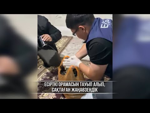 Видео: ДАБЫЛ ДАБЫЛ 06.10.2025 ж.