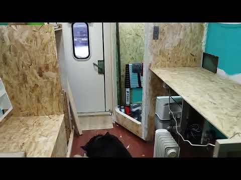 Видео: Обзор "Зилуша" ч. 3 продолжение.