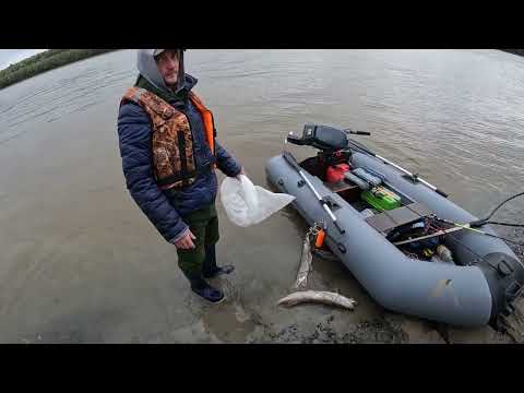 Видео: Здесь нет рыбаков, и рыба загибает спиннинг, трофей не побит рыбалка на р.Иртыш, Тевриз. 460км.