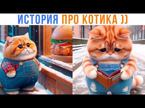 Видео: КАК КОТИК БУРГЕРОВ ОБЪЕЛСЯ ))) | Приколы с котами | Мемозг 1395