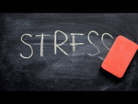 Видео: 🙅‍♀️🙅‍♂️👌Способы справиться со стрессом и тревогой: рекомендации клинического психолога🙅‍♀️🙅‍♂️👌