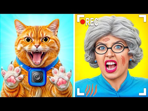Видео: Я Кот | Забавные Приключения Кота от Multi DO Smile
