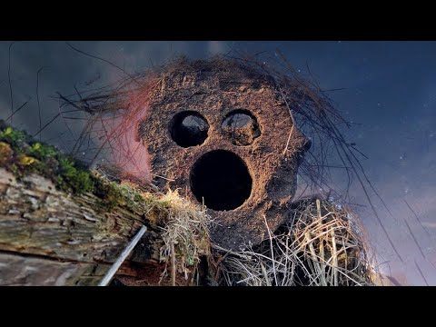 Видео: Находка дня 2021!