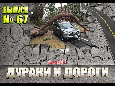 Видео: Дураки и дороги. Сборник безумных водителей #67