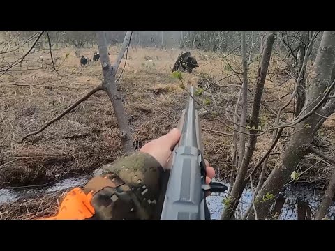Видео: Опасная осечка на медведе. Сахалин 4.