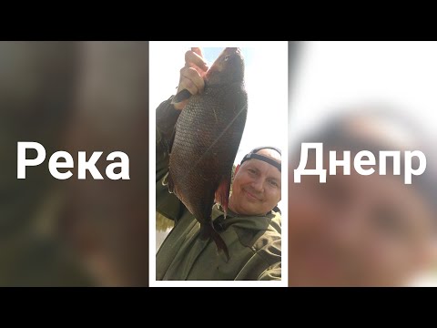 Видео: Немного о полудонке, выборе места для рыбалки! Река Днепр вблизи г. Рогачёва!