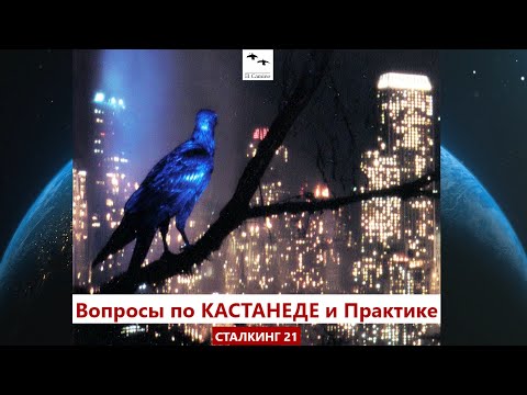 Видео: Путь Воина и Уровни Личной Силы