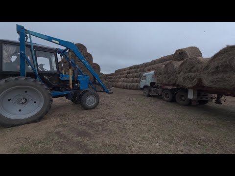 Видео: СЕНОКОС 2025. Вывозка рулонов