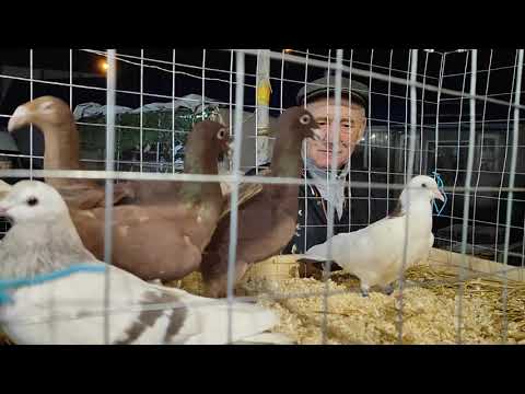 Видео: 8.11.2025г Ярмарка ст.Бронницы ч .1