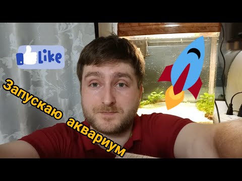 Видео: Запускаю аквариум Jebo R338