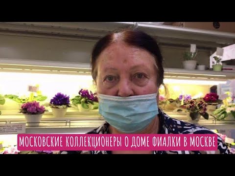 Видео: Московские коллекционеры о Доме Фиалки в Москве