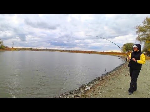 Видео: КЛЁВ ОДИН ЗА ОДНИМ по родным берегам СО спиннингом РЫБАЛКА НА СУДАКА 