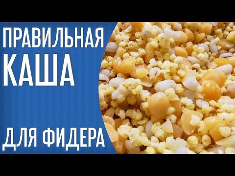 Видео: Правильная КАША для ловли на ФИДЕР. Как варить пшено и горох для рыбалки. Кузнецовка