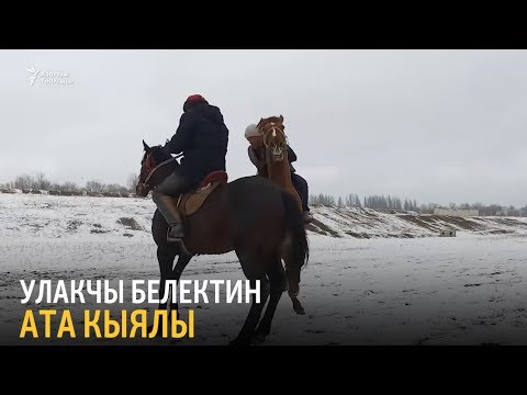 Видео: Улакчы Белектин ата кыялы