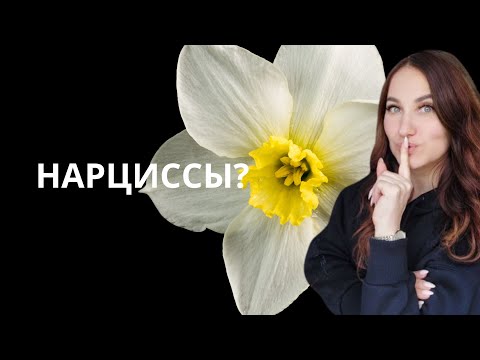 Видео: Как пережить расставание с нарциссом?