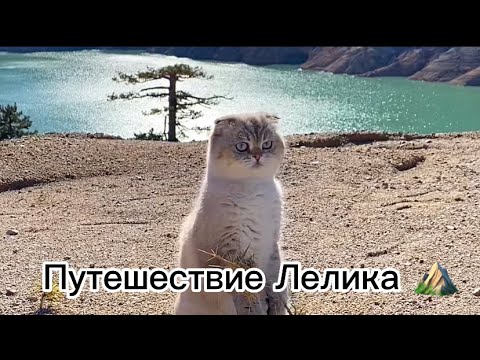 Видео: Путешествие Лелика⛰