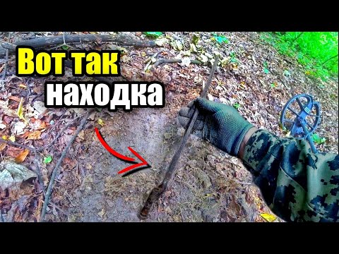 Видео: Нежданчик из глухого леса. Коп с Nokta Makro Simplex Plus