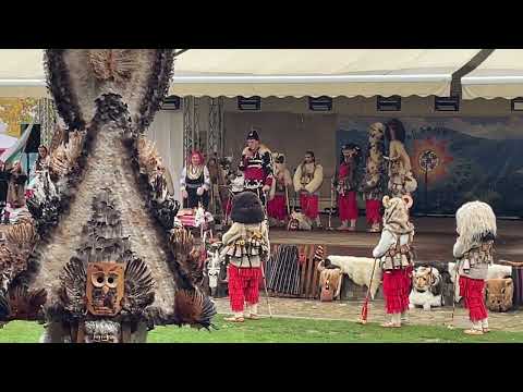 Видео: Група от с.Долна Секирна на фестивала в Челопеч