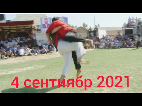 Видео: кураш чорбог 04 09 2021