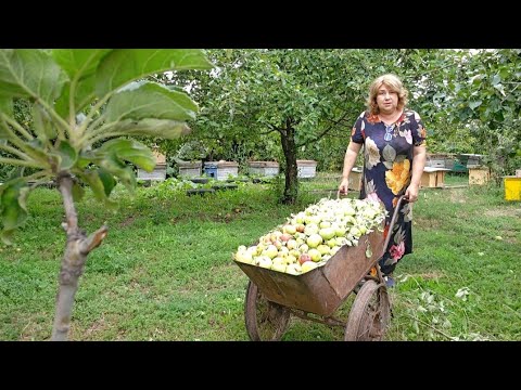 Видео: Я СДЕЛАЛА идеальные БРОВИ. ГРЫЖА от работы.РУССКАЯ ДЕРЕВНЯ