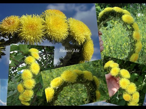 Видео: Венок с одуванчиками из фоамирана Wreath with dandelions from tameran