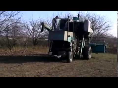 Видео: САМЫЙ ЛУТШЫЙ КЛИП В ДЕРЕВНЕ