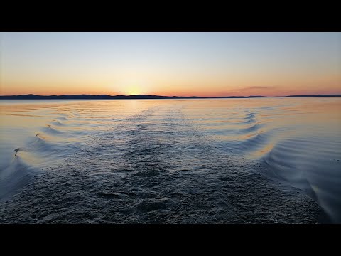 Видео: Белые ночи 2022