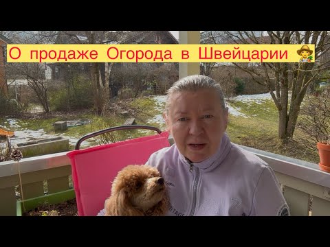 Видео: ПРОДАЮ ОГОРОД В ШВЕЙЦАРИИ 👩‍🌾 СКОЛЬКО СТОИТ 😉