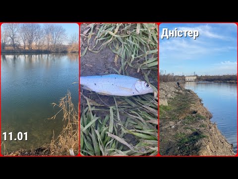 Видео: Відкриття сезону 2025. Рибалка 11 січня на річці Дністер та Турунчук. Що клює на річці?