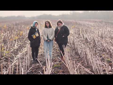 Видео: Вільце - Ой по лану, по лану / Viltse - Oh, through the field