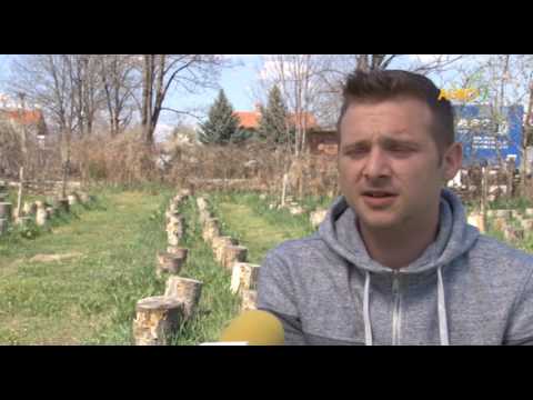 Видео: ЕДИН МЛАД ФЕРМЕР В ТЪРСЕНЕ НА ПРЕДИЗВИКАТЕЛСТВА