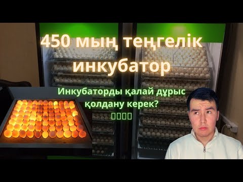 Видео: Инкубатор бизнесі | Құс шаруашылығы