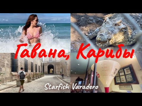 Видео: КУБА СТАРФИШ ВАРАДЕРО |ГАВАНА | КАРИБСКОЕ МОРЕ | КРОКОДИЛЫ | СНОРКЛИНГ | что посмотреть на кубе