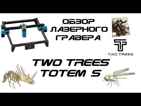 Видео: Обзор лазерного гравера TwoTrees Totem S 40W (5.5W)