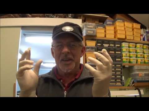 Видео: Эпизод 29. Создание живой изгороди